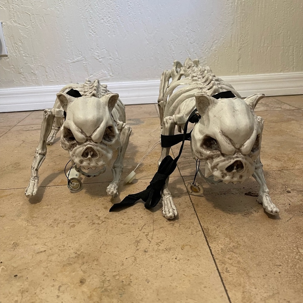 Skeleton dogs